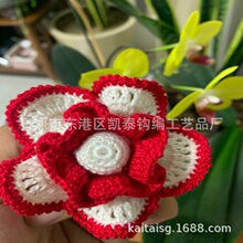 手钩花 手钩花边 勾针衣领花边 勾针花 胸花 毛线花 编织花 花边