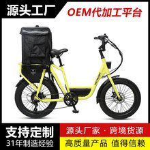 TXED熱賣定制48V 15.6ah鋰電池F/R機械盤式制動器電動貨運自行車