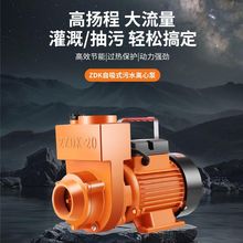 农用污水化粪池排污离心泵ZDK自吸泵220V家用大流量清水泵抽水机