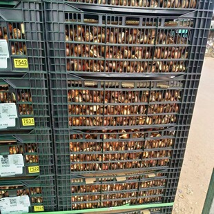 ������N����������ܷN������ˮ�໨���҃���ͥԺ�Nֲ�����㻨��