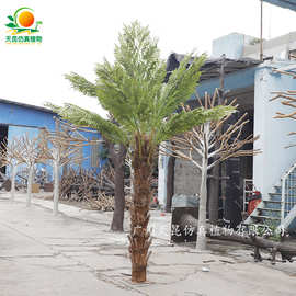 仿真桫椤树假植物造景 仿真大型沙罗树大蕨树叶 户外大树假植物