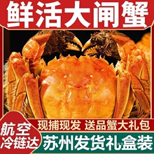 �r����lз��ĸ�з���r���rˮ�a�Y��6/12ֻ���K�K�ݰl؛Ⱥľ���b