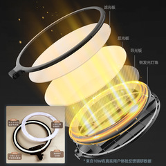 YONGEER Dual-Position Desktop Ring Light, Round Full-Screen 10-Inch Ring Light, Indoor Livestream Ring Light