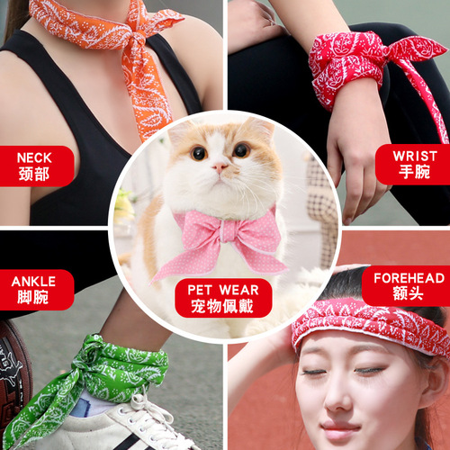 Summer Cooling Ice Bandana Korean Style Headband Pet Ice Scarf Outdoor Ice Strap Sports Headband Cooling Bandana
