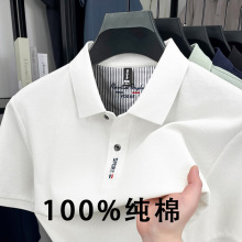 2026�޶���polo����ʿ���IT���̽���ɫ�̄��¿�T����������b����