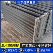 DN30���l����������Ƭ��304���P䓓Q������Ƭ��ɢ�������a�S��