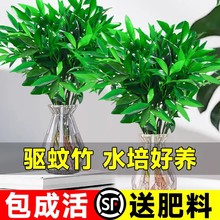 ��������ˮ��ֲ���҃ȿ͏dˮ�B�Gֲ���������k���������ļ����B