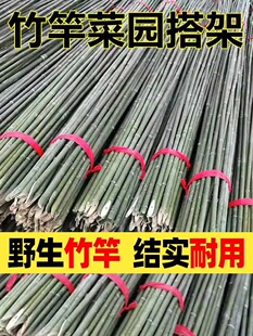 Bamboo Pole Vegetable Garden Frame Vegetable Cucumber Bean Frame Pole Bamboo Fence Fence Small Bamboo Thin Bamboo Pole Climbing Pergola Courtyard
