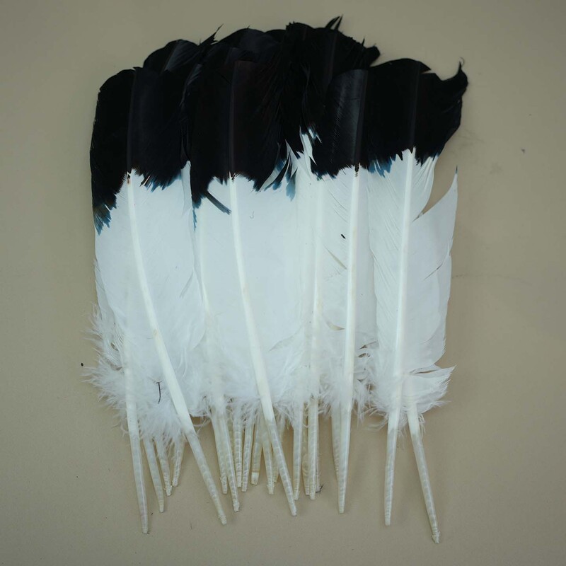 Wholesale Black and White Turkey Feathers, Feather Accessories, DIY Crafts, Hats, Headwear, Clothing Accessories, Turkey Feathers Wholesale Black and White Turkey Feathers, Feather Accessories, DIY Crafts, Hats, Headwear, Clothing Accessories, Turkey Feathers