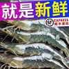 50 Shrimp Prawns Fresh Shrimp fresh Prawns Shrimp Freezing Aquatic products wholesale Shrimp Manufactor Direct selling