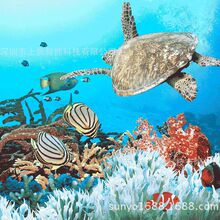 3DPP/PETͨV SWw׃ǳzӡ