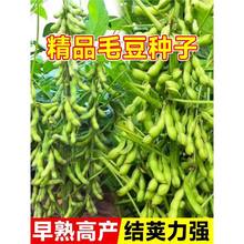 ��ʳë���N���ඹ����߮a��������s�Z�߲˷N�ݼ�ͥԺ�r��������