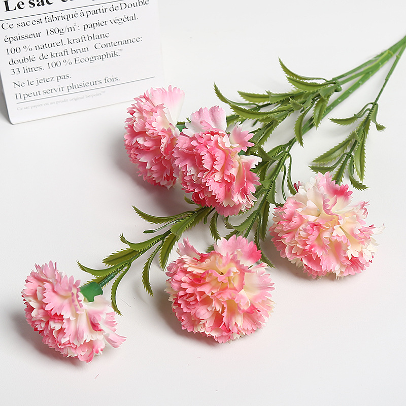 다크 핑크 카네이션 5개