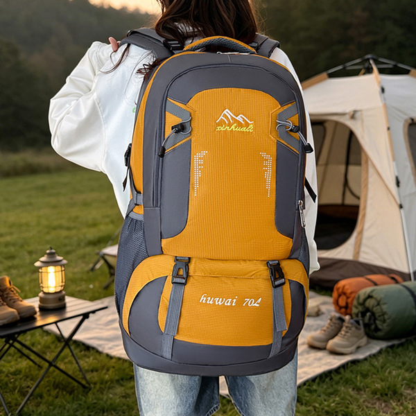 capacious backpack for traveling