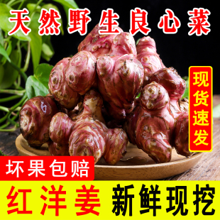 �t�����rҰ�����ӽ����r���߲��u����ݲ˷N������������