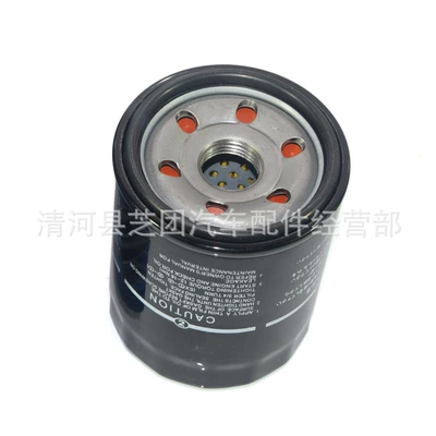 Segway 1000Cc Ut10 Sx10 Oil filter