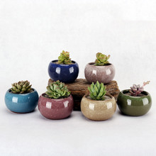 Դ�^�S�����l�nʽ�����մɻ�����ѻ��脓����@�L����Gֲ����