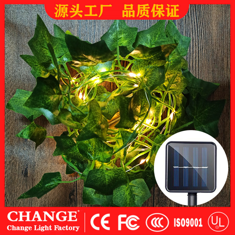 단색 단풍잎 녹색 덩굴 10 m 100 빛 태양열