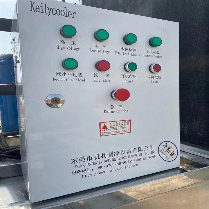 Sell Used Seafood Self-service Fish Scale Flake Ice Machine Ice Machine for Food Factory Recycling