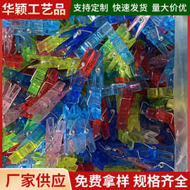厂家供应3.5x0.7cm透明塑料夹 透明小夹子 彩色迷你装饰照片夹子