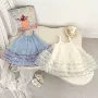 周岁夏季女童蓬蓬公主裙