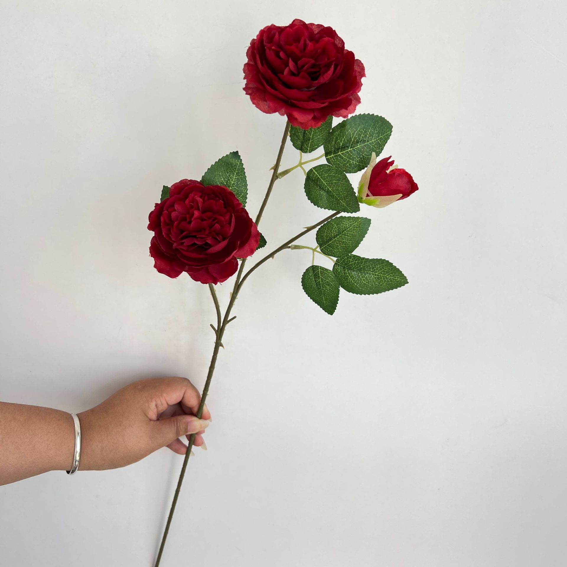 a52cd499dd8b72a3fe25478398309a