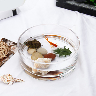 Pressed round thickened glass fish tank hydroponic lotus lotus flower vase copper money grass water lily flower pot one-leaf lotus tank