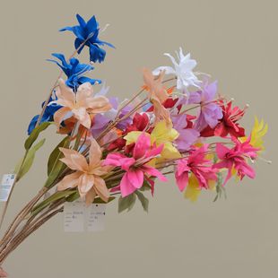 �羳���޾պ�õ��ٺ��m����߅õ�廨�Ҿ��b��滨�Gֲ