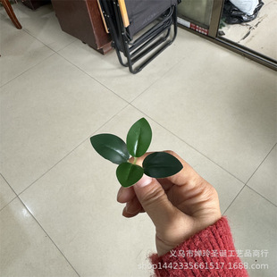 ���滨�~����Gֲ�����辰���F�~���m�~�z�����X�Ř��~��������l