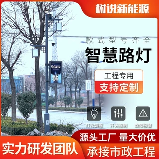 厂家定制智慧路灯5g市政多功能道路灯 充电桩LED屏幕显示路灯杆