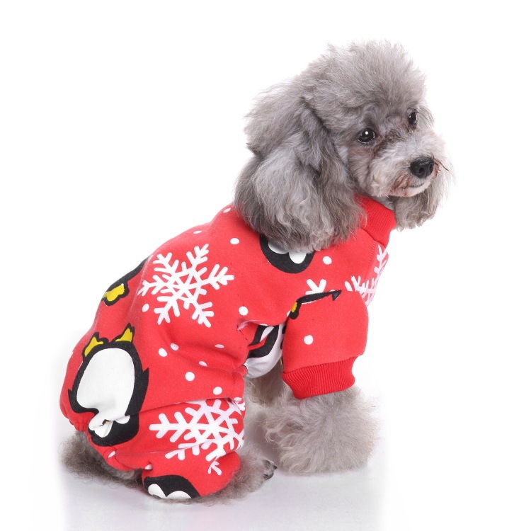 爆金犬ハロウィーンは服装をしている祝日を祝って、高強マジックはしわに強いペット服装をしている|undefined