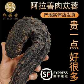 阿拉善肉苁蓉切片整根500g油性内蒙古材送锁阳淫羊藿