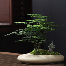 �����՚��ļ����ఫ�����~�������Ի��ܾGֲ�����Ժ��҃Ȳ���辰