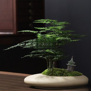 �����՚��ļ����ఫ�����~�������Ի��ܾGֲ�����Ժ��҃Ȳ���辰