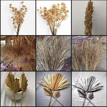 ���yϵ�иɻ� �滨��˼���ȼ��������F���}�Q����������ɻ����l