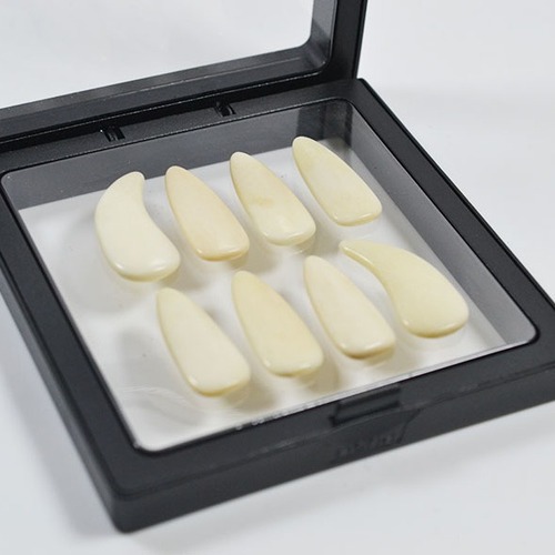 Manufacturer wholesales cow bone guzheng nails for adults and children, special double arc guzheng nails for performance examination