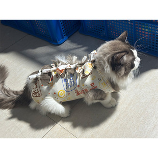 Cat Sterilization Clothing Surgical Clothing Weaning Clothing Cotton Cloth Breathable Postoperative Clothing Sterilization Clothing Medical Summer Female Cat Surgical Clothing