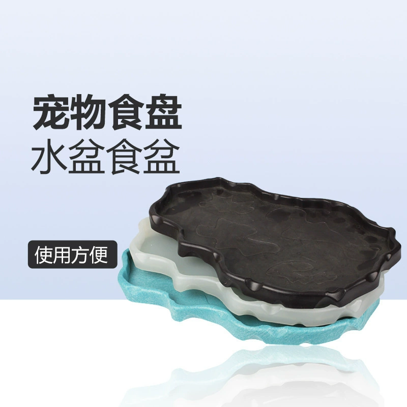 Коробка для рептилии Коробка для черепахи Коробка для воды Коробка для ящерицы Рогатая лягушка