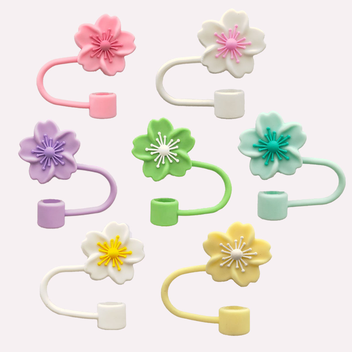 베고니아 7색세트