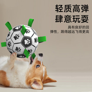 Amazon Dog Toy Football Puppy Tour Training Toy Ball Pet Ball Supplies Foreign Trade Wholesale Customization