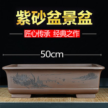 ���]��ɰ�辰���L���λ��轳�Ă���͸���B����ɰͥԺ�辰��������
