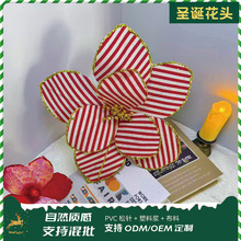 ���Q��ۻ��^�}�Q���b��滨�}�Q����ٻ��tɫ�Ɍ��}�Q���^