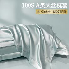 A类100支天丝枕套夏季凉爽真丝美容枕头套纯色冰丝枕芯套48X74cm