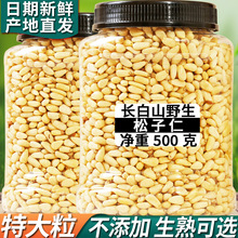 长白山野生松子仁熟特大东北松仁粒生即食松子肉新货原味红松500g