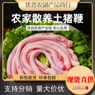 �i�����r�iС���i�o�r��ɢ�B��������i�ޟ���ȥ����߅��Ʒ�i��