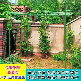 葡萄架子庭院户外葫芦爬藤架丝瓜百香果爬藤支架室外植物支撑杆子