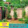 庭院植物室外户外支撑杆
