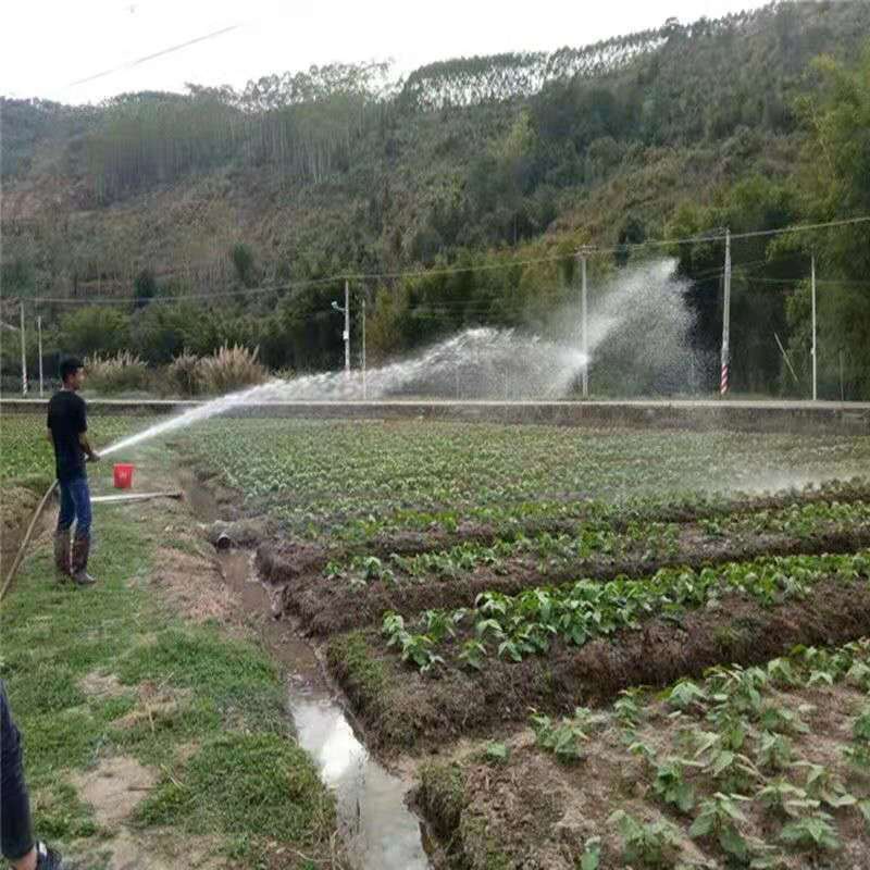 Greenfield's Various Boat-Type Sprinklers, Four-Stroke Gasoline Engines, Water Pumps, Self-Priming Floating Pumps, Boat Pumps, Vegetable Watering Machines