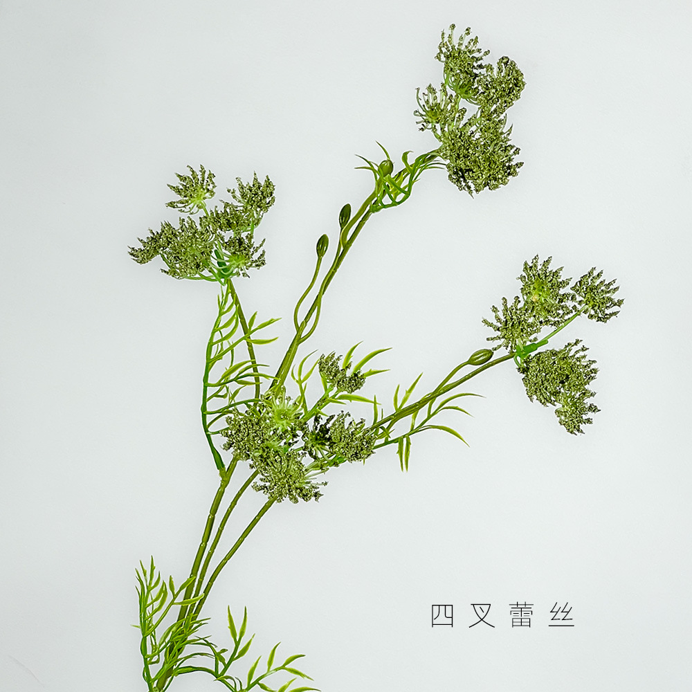 녹색 4갈래 레이스 꽃