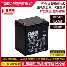 FIAMM非凡2XL200铅酸免维护蓄电池2V200AH直流屏风电场升压站回收